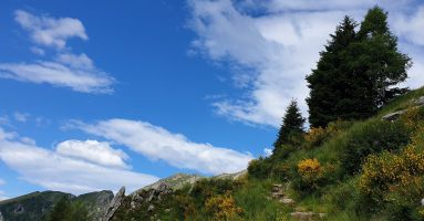 Welch herrlicher Tag!