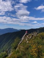 Schöne Aussichtsplattform über der Waldgrenze