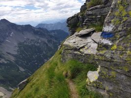 Bei Nässe sind die schmalen Graspfade heikel.