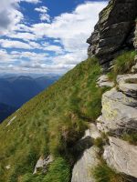 Saftiges Grün Anfangs Sommer