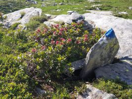 Herrliches Ankommen bei der Capanna Alpe Cornavosa