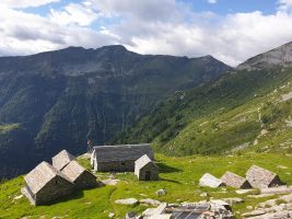 Die Alpgebäude der Alpe Cornavosa wurden perfekt hergerichtet.