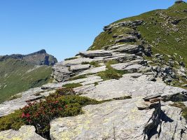 Natürliche Steintreppe auf dem Grat