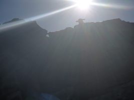 Blökende Begrüssung