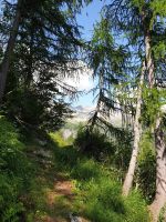 Weiterweg am Fuss des nördlichen Ausläufers des Pizzo del Laghetto