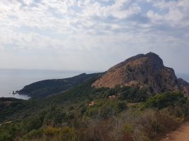 Alles was man absteigt, muss man zum Schluss wieder hochsteigen; insgesamt kommen 500 Höhenmeter zusammen. [imgDir=W]