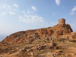 Auch die letzten Höhenmeter bieten noch vergnüglich Kraxelei; u.a. ist eine tiefe Scharte zu überwinden. [imgDir=NW]