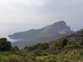 Der Weg führt recht gleichmässig absteigend an den tiefsten Punkt des Südostrückens, über welchen auf den Turm aufgestiegen werden kann. Der Abstieg führt nach Süden bis auf die gerodete Fläche, von wo aus traversiert und wieder aufgestiegen wird.[imgDir=W]
