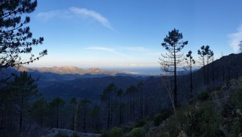 Im steilen Anstieg zur Boccu à U Saltu: Blick zurück auf Calvi [imgDir=NW]