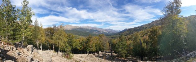 Nach einer langen Traverse durch Buchenwald beginnt der Weg zur Bocca San Pedru zu steigen; im Hintergrund das Cintomassiv [imgDir=NNE alt=1360]