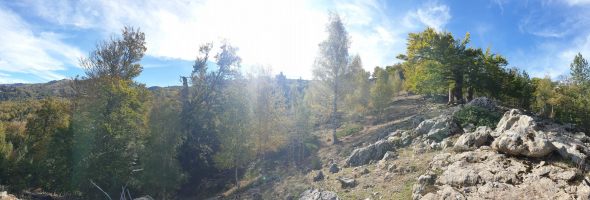 Ab hier beginnt sich der Wald zu lichten [imgDir=SW alt=1360]