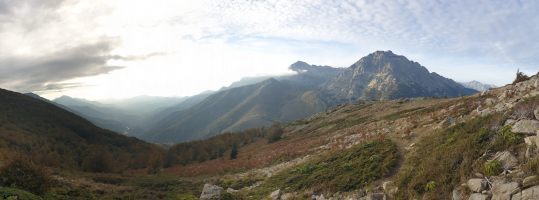 Über der Bergeries de Pozzi (1400, im Wald) wird die Vegetation karger [alt=1480 imgDir=W]