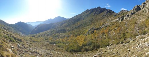 Unterhalb des Col du Bocca Manganello (1800) vorne rechts; zentral die Punta Murace (1921), über die der Weiterweg führt; links hinten Monte d`Oro (2389) [alt=1720 imgDir=S]