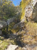 Frisches, saftiges Gras zeigt die Quelle an [alt=1860 imgDir=null]