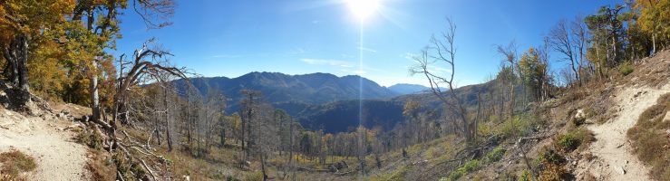 Hiner dem grünen Rücken in der Bildmitte befindet sich der Col de Verde; dahinter -- eingebettet zwischen den beiden höchsten runden Kuppen direkt unter der Sonne -- die Bocca d`Oru (1846), über welche der GR-20 führt. [alt=1570 imgDir=ESE]