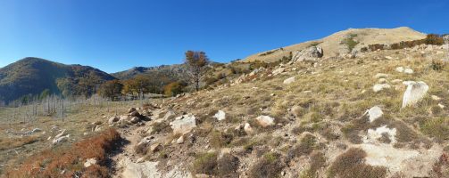 Der Weg zieht beim Eichenhain nach links unten. [alt=1580 imgDir=SW]