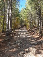 Der Weg zum Col de Verde durch den obersten Kessel des Taravo lässt leider kein angenehmes Auslaufen zu. [alt=1350 imgDir=WSW]