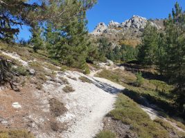 Nach einem langen und steilen Aufstieg betritt man au knapp 1500 m.ü.M. eine märchenhafte Landschaft. [alt=1490 imgDir=NE]