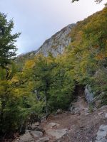 Der Weg traversiert von der Bocca ca. einen Kilometer in die Ostflanke der Punta Mozza und weicht dabei den steilen Felswänden aus. [alt=1600 imgDir=S]