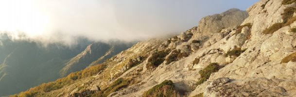 Schönes, plattiges Gelände mit vielen Markierungen [imgDir=SW]