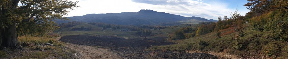 Brandrodung? Dahinter das weite Plateau de Cusciunu mit dem Monte Incudine (2134). [imgDir=SSE]