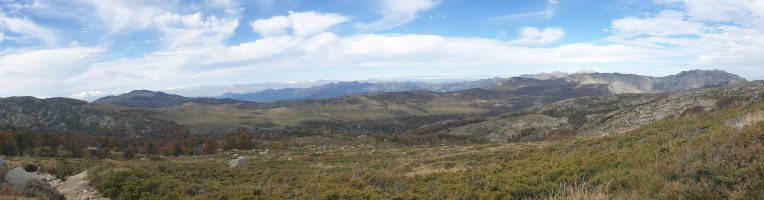 Blick zurück über das Plateau de Cusciunu; im Hintergrund das Stück Brandrodung erkennbar ebenso wie der lange Grat hoch zum Refuge d´Usciolu. [imgDir=W]