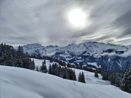 Blick in Richtung Hürital. Der Wind hat in der Höhe enorm stark gewirkt. [imgDir=SSE]