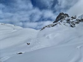 Pulverschneehänge im Januar 2022