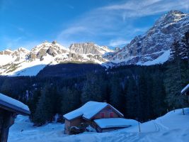 Wäspen, Griessstöcke, Chli Ruchen