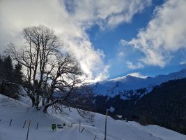 Neuschneeschaum auf den Matten von Oberrickenbach