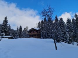 Hübsches Häuschen auf Alpboden