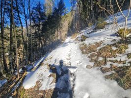 Spuren der Konkurrenz! Allerdings waren es gleich viele im Abstieg wie im Aufstieg.