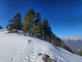 Ab hier kurz dem Grat entlang hoch
