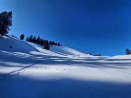 Kurz vor der Rinderalp