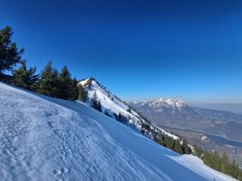 Nur Füchse und Hasen