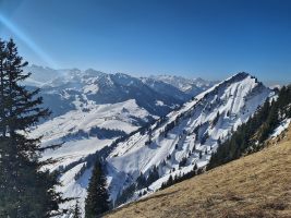 Berner Oberland im Hintergrund