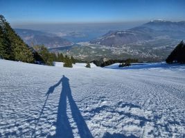 "First and only line"!