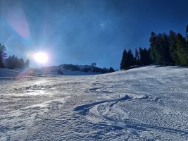 Traumhafte Verhältnisse