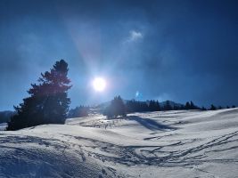 Letzte Pulverschwünge beim Wildwechsel