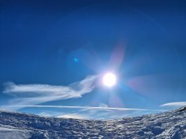 Friedenstauben braucht die Welt.