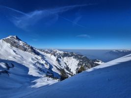 Diesig im Unterland