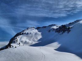 Blick zurück zu meiner "first and only line" (im Schatten) mit Gämsenquerverkehr