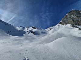 Zurück zum Einstieg!