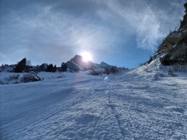 Kartoffelernte im tiefen Pulver!