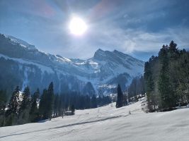 Wunderbare Schneeverhältnisse auch im unteren Teil