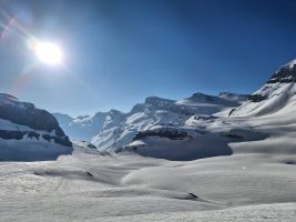 Dauben-, Schwarz-, Rot- und Schneehorn