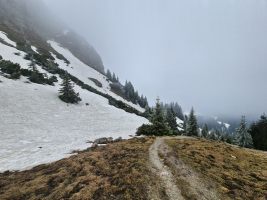 Etwa hier verlässt man die Rinne mit der Skipiste bei der südwestlichen Umgehung zum Hallergehrenjoch. [imgDir=SSW]