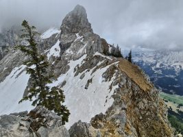 Blick auf den Weiterweg. Im Hintergrund die heikle Passage. wo der Weg nordseitig über eine kurze Schneeflanke ansteigt. [imgDir=SSE]