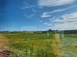 Sardinien grünt im Frühling.