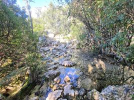 Der Baus führt viel und sauberes Wasser.